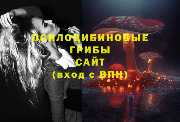 mdpv Арсеньев