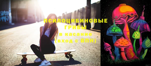 винт Аркадак