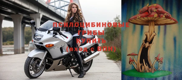 винт Аркадак