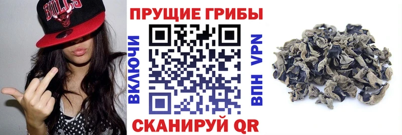 Галлюциногенные грибы ЛСД Серов